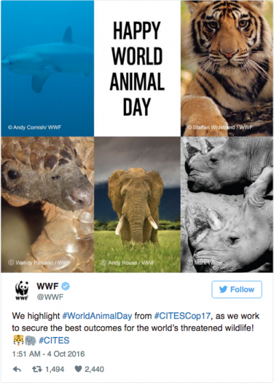 Happy World Animal Day! - | Jam