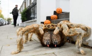Fanta Spider Halloween