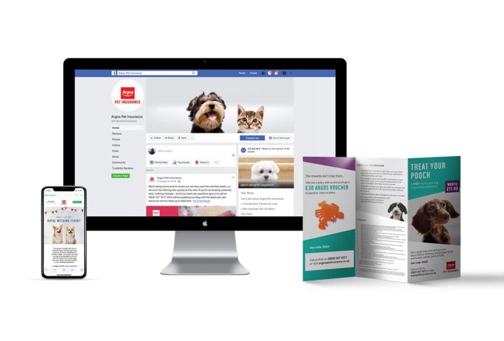 Fur-midable marketing: Jam’s expertise in the pet industry