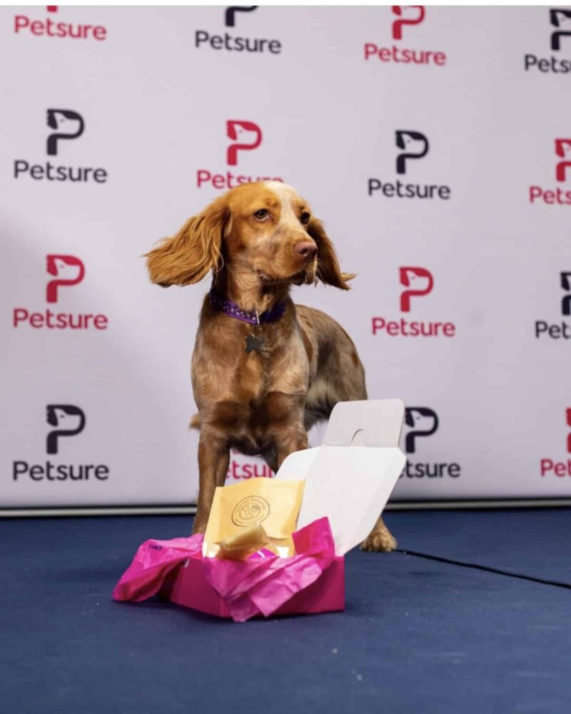 petsure_uk