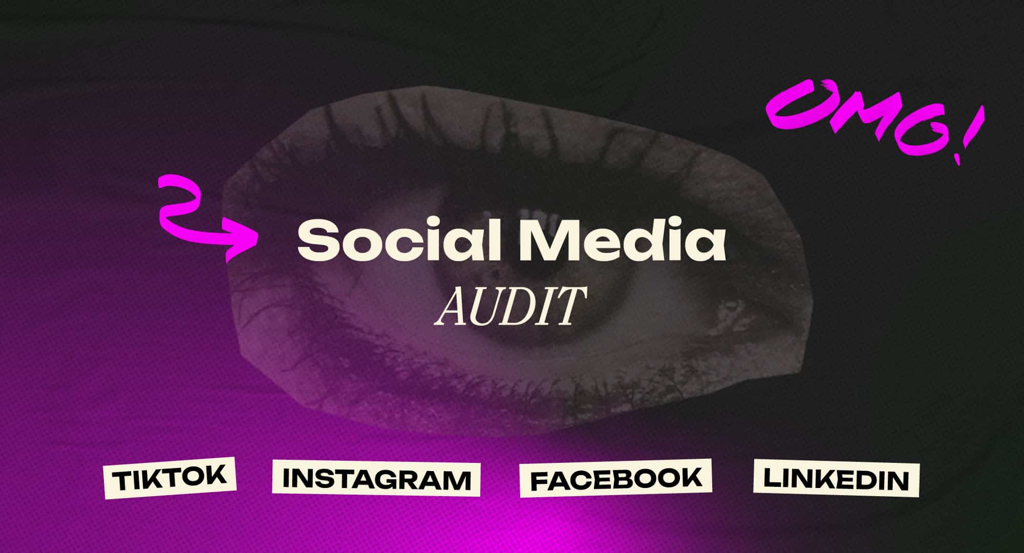 social media audit image