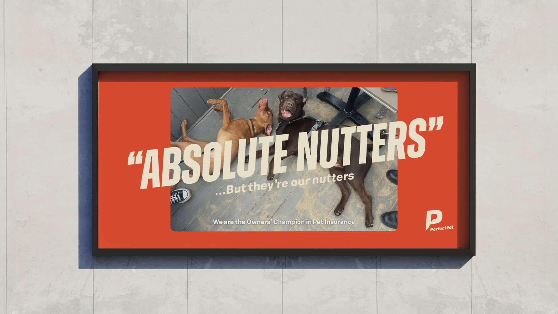Billboard showing perfect pet brand work