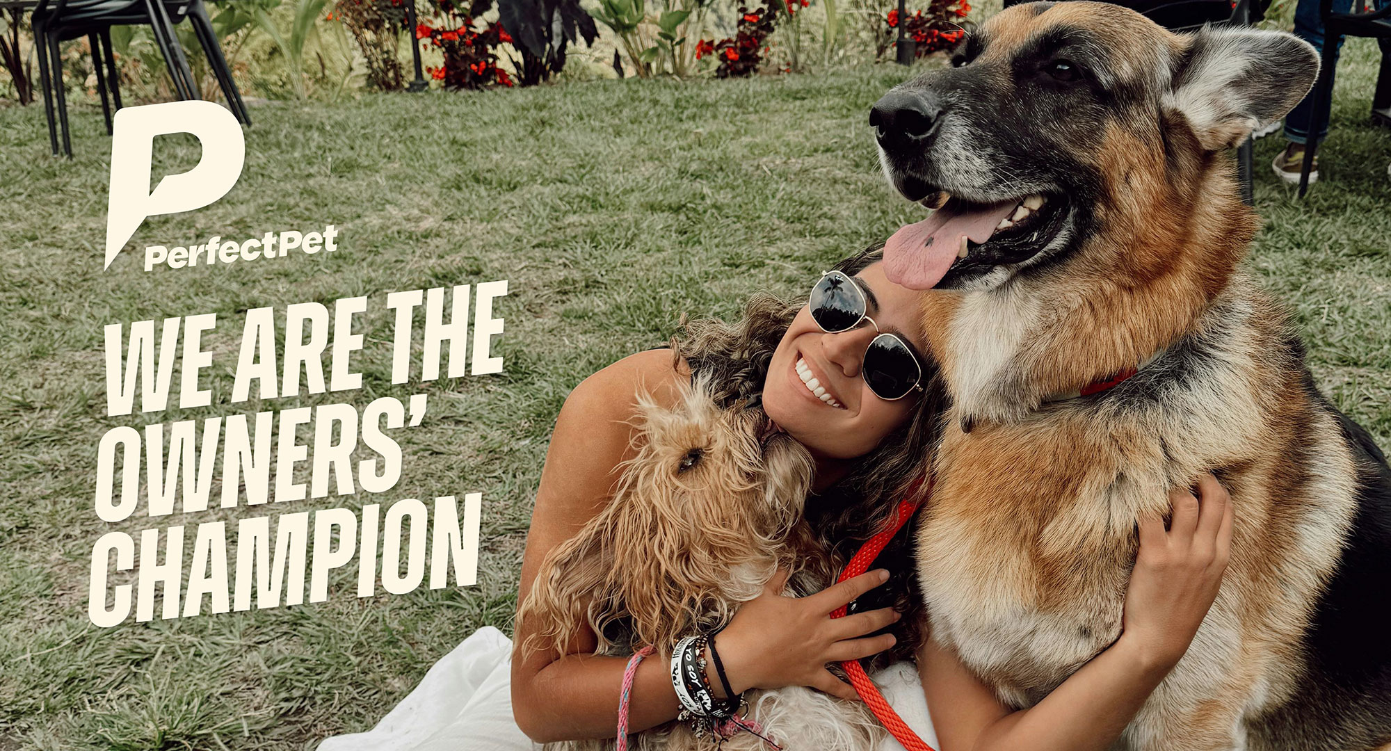 lady sat with dog with the text We are the owners' champion and the perfect pet logo next to it
