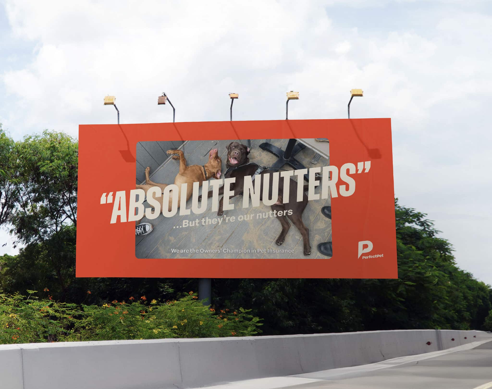 billboard with perfect pet creative