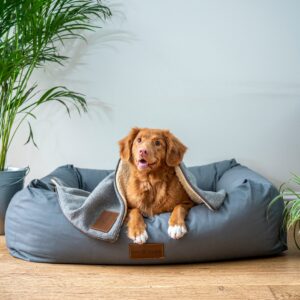 future of pet marketing