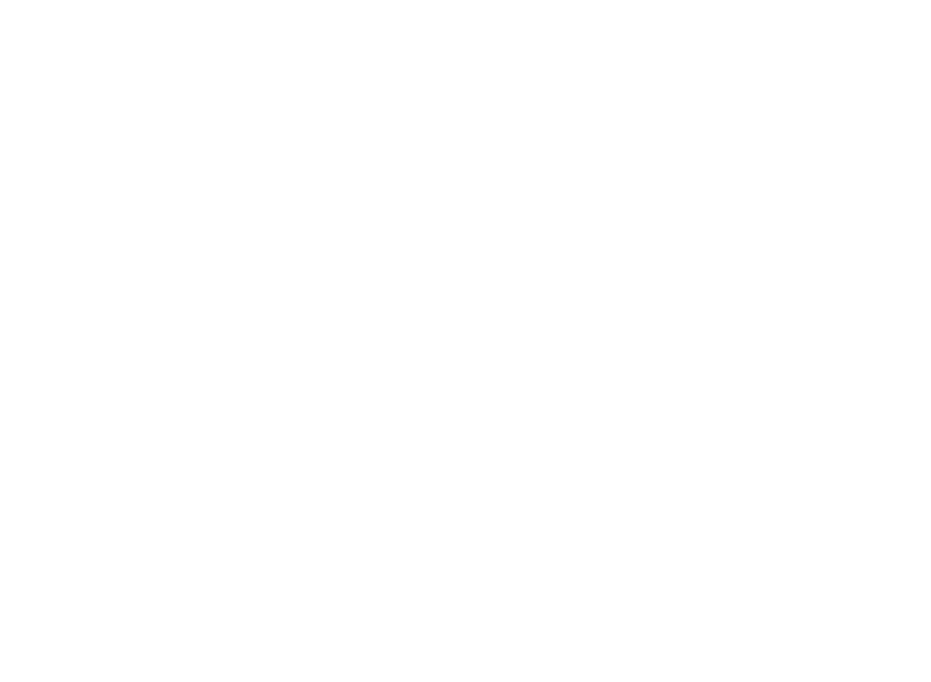 Perfect Pet logo