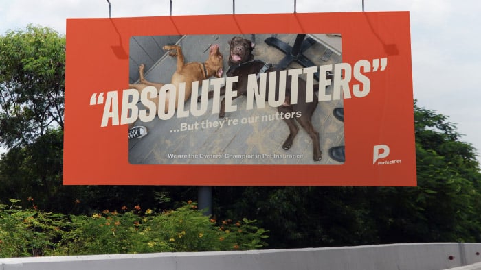 Billboard perfect pet brand