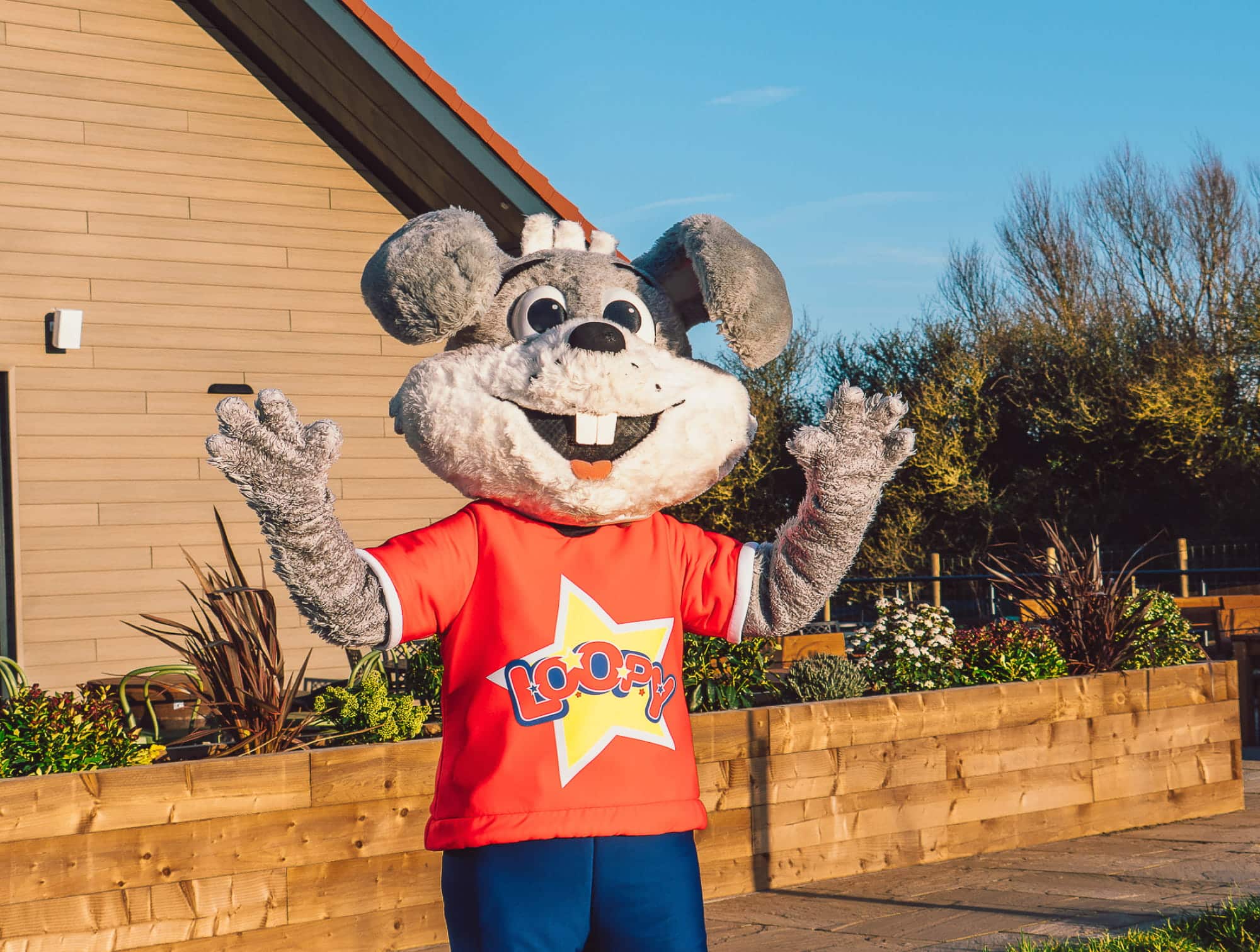 Loopy mascot
